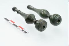 Foto von Bronzenadelspitzenschoner (NHMW-PRAE-025394)